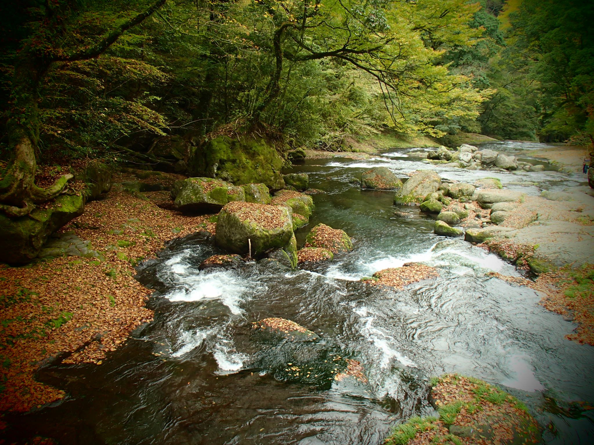 🏞️ 기쿠치 계곡 (키쿠치 케이코쿠) 이미지 3